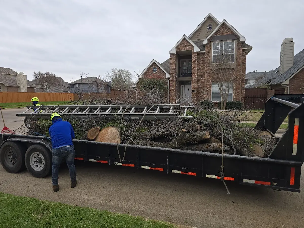 Expert Crown Reduction with proper safety equipment in Dousman